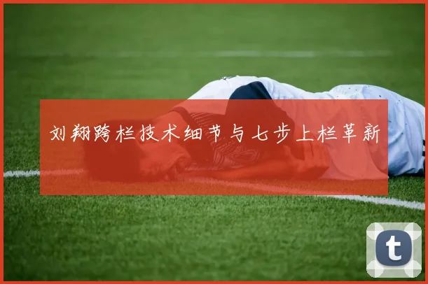 刘翔跨栏技术细节与七步上栏革新