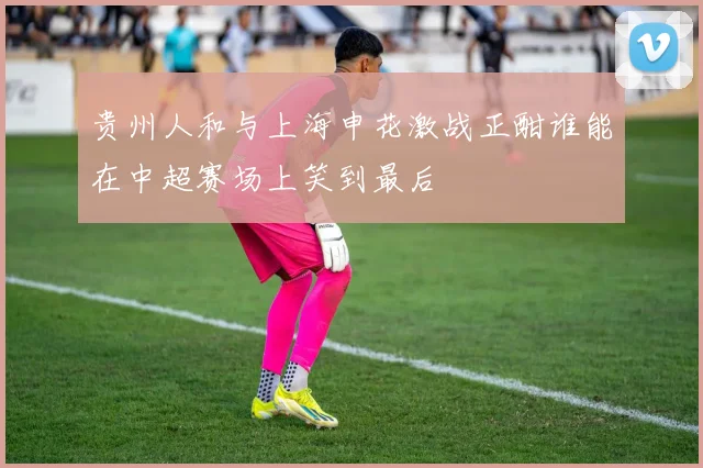 贵州人和与上海申花激战正酣谁能在中超赛场上笑到最后