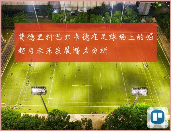 费德里科巴尔韦德在足球场上的崛起与未来发展潜力分析