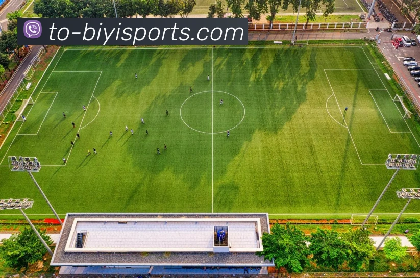 必一体育APP 封面图