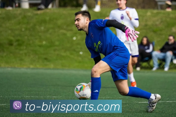 必一体育APP 封面图